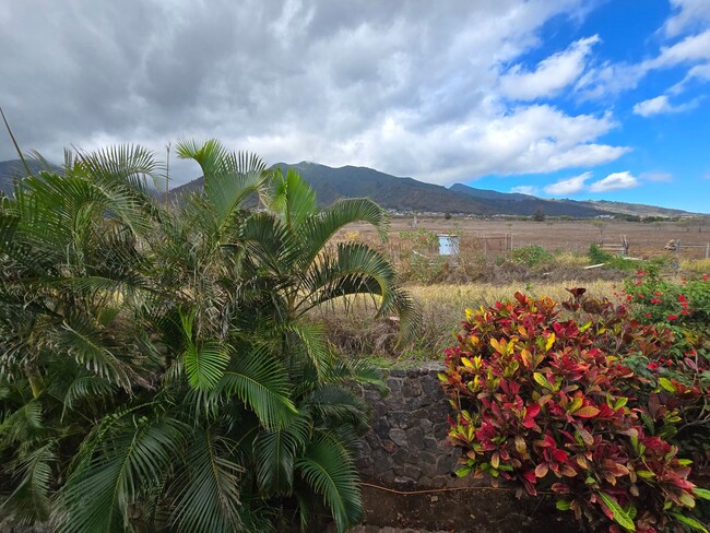 Building Photo - For Rent: Stunning Home in Waiolani Mauka ...