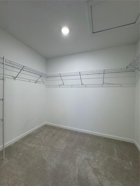 Building Photo - 13139 Tollcross Wy