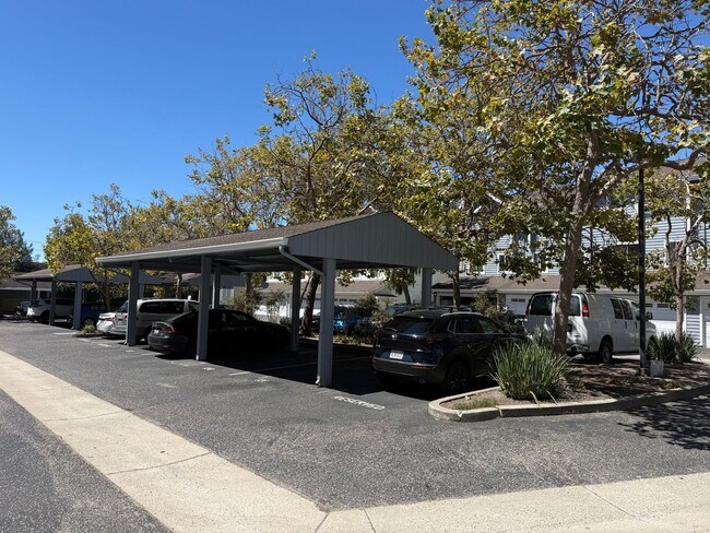 Building Photo - 2 BR/2BA Condo close to shopping, restaurants and beaches