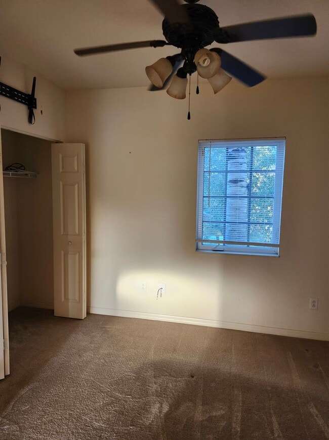 Building Photo - 1216 Rio De Janeiro Ave