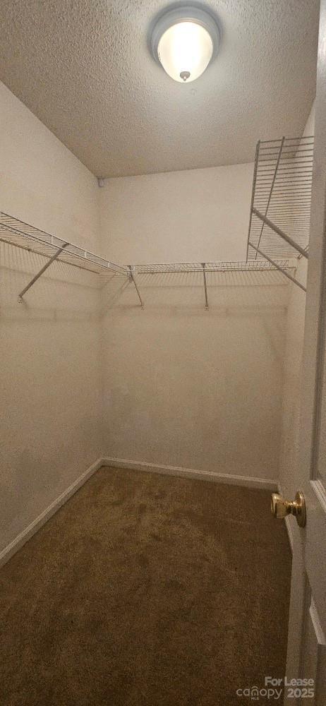 Building Photo - 6807 Juniper Tree St