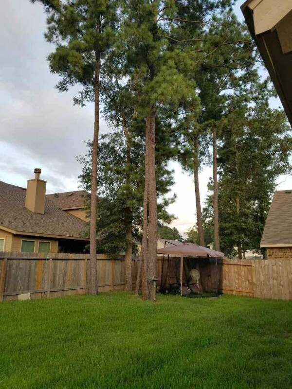 Building Photo - 21691 Horseshoe Dr
