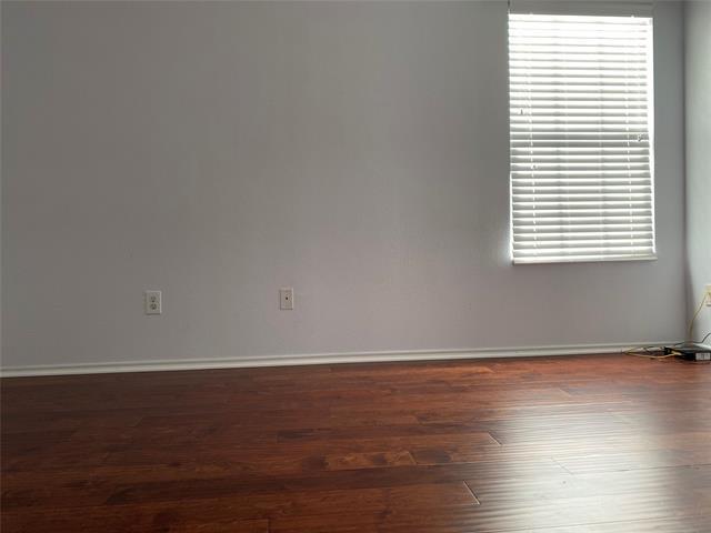 Building Photo - 3206 Lipizzan Dr