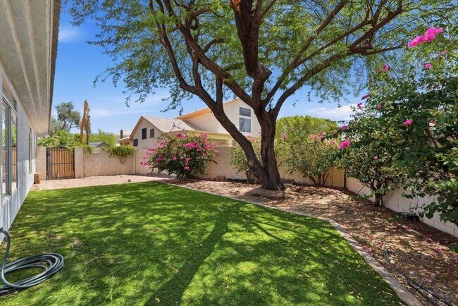 Building Photo - 4 Bed 2 Bath House with a pool!