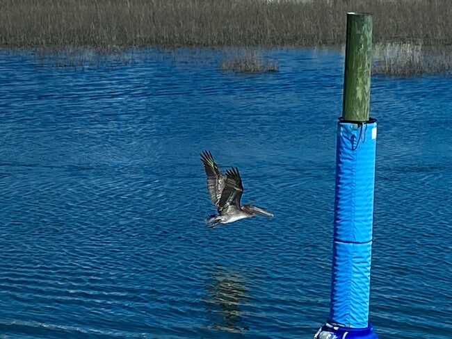 Building Photo - Fully furnished! Welcome to your dream ren...