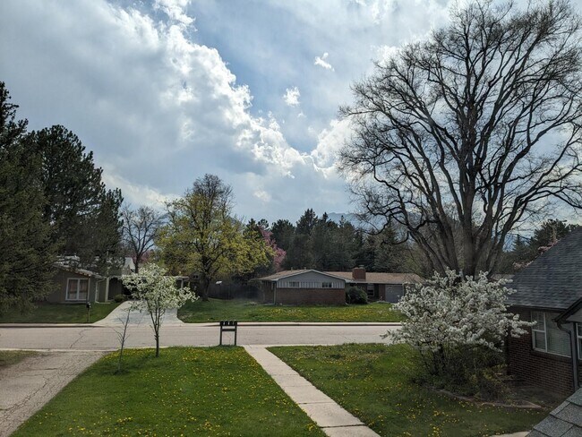 Building Photo - 4365 Comanche Dr