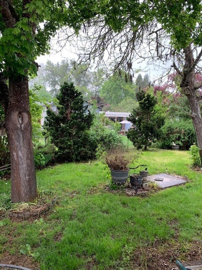 Building Photo - Great single Level home!