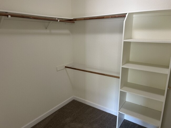 Building Photo - 597 Canvasback Ct