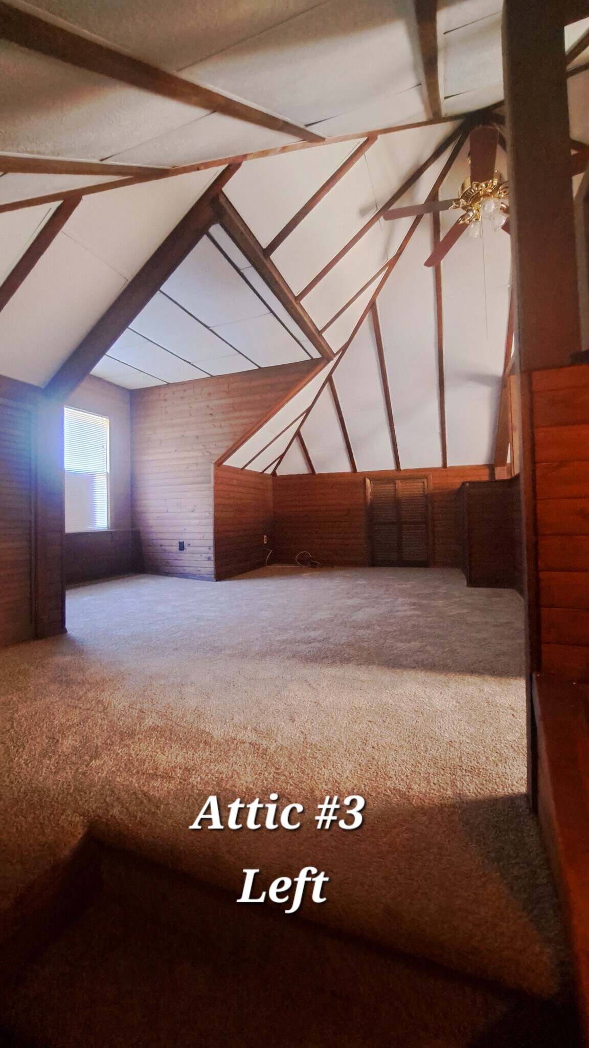 Building Photo - 48 Bustleton Pike