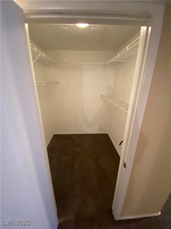 Building Photo - 3144 Tarpon Dr