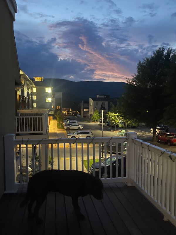 Building Photo - 1015 Heathercroft Cir