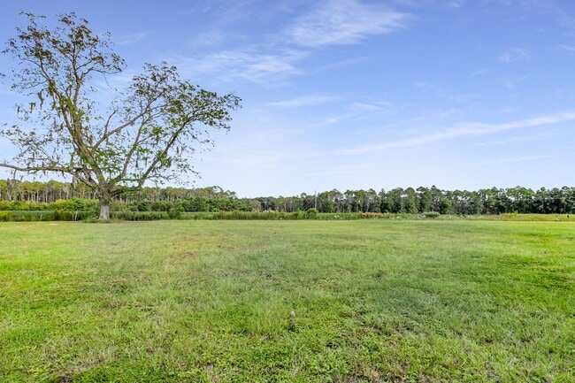 Building Photo - 50 Dove Run Dr