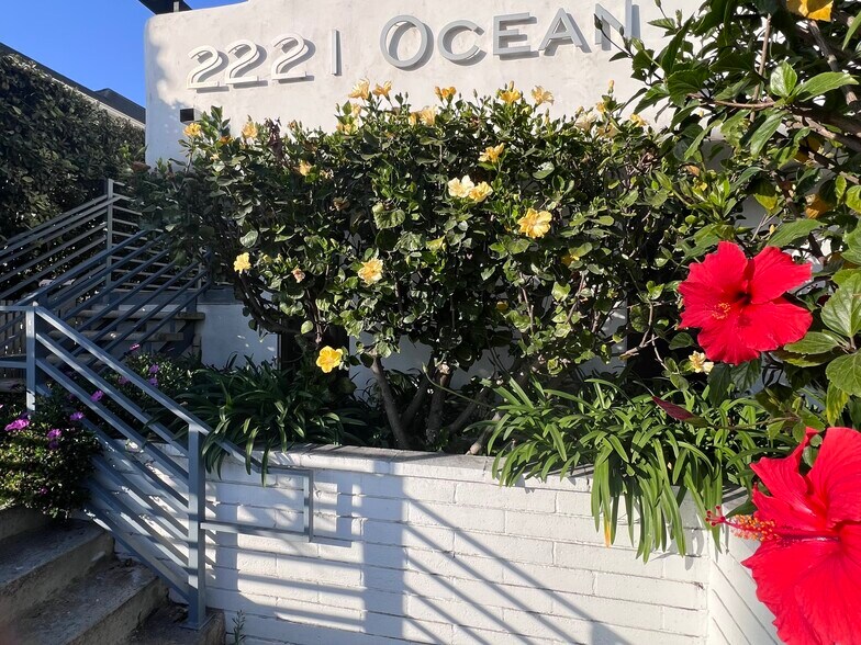 Hibiscus greet you at the entrance. - 2221 Ocean Ave