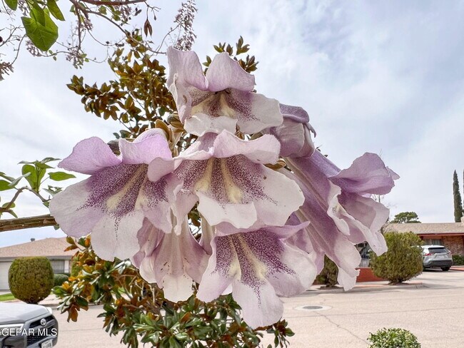 Building Photo - 1316 Hookridge Dr