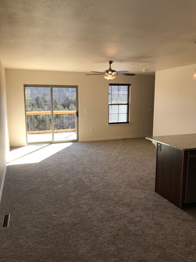 Building Photo - 3 Bedroom 2 Bath 2 Car Garage For Rent in Branson MO