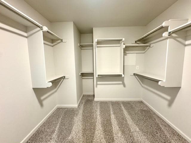 Building Photo - 3212 Mt Nebo Dr