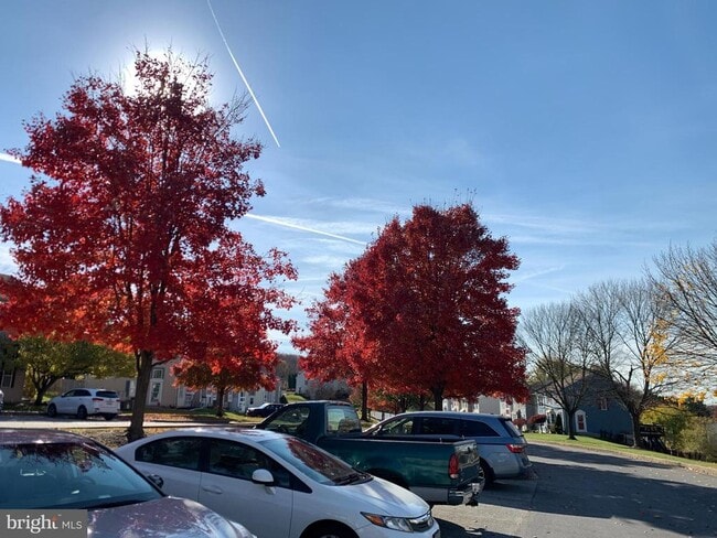 Building Photo - 428 Palmer Terrace