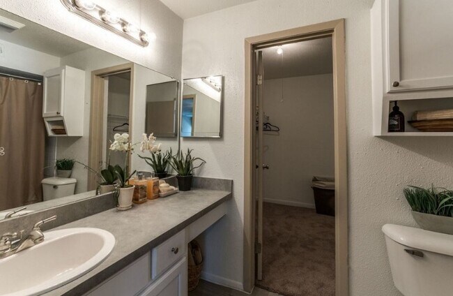 Building Photo - Diamond Hill at Westheimer