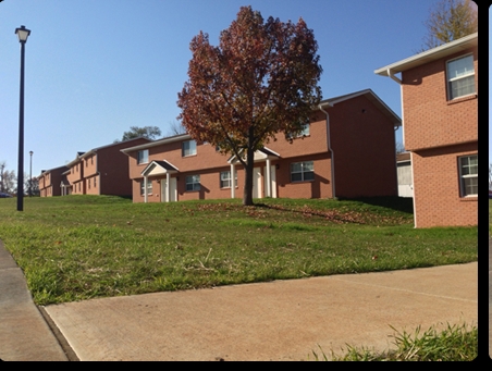 Primary Photo - Birch Tree Apartments