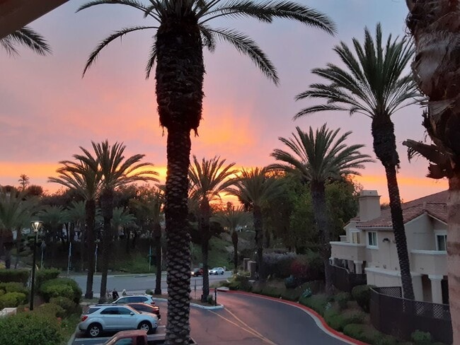 Building Photo - Upgraded Condo -The Bluffs at Rancho Del O...