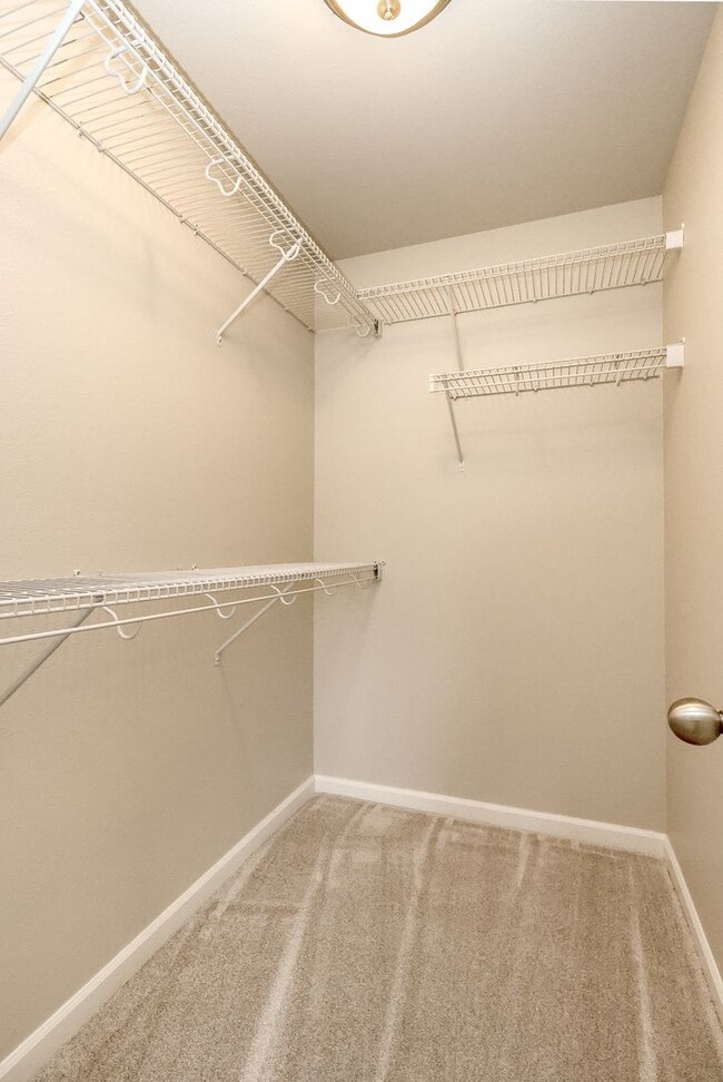 Building Photo - Beautiful Lacey Home with new paint and carpet in Popular Edgewater Community