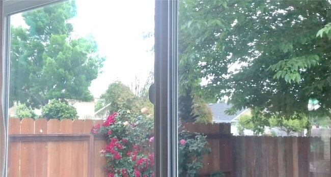 Building Photo - 1170 Patricia Ln