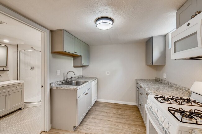 Building Photo - 3 Bedroom 2 Bathroom Denver Home with Bonu...