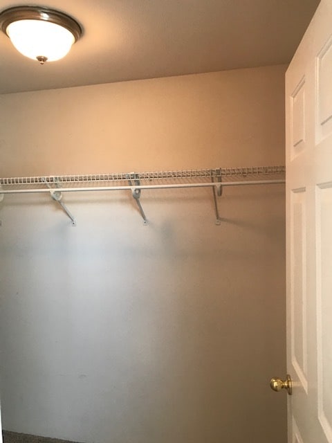 Building Photo - 1335 Sandy Ln