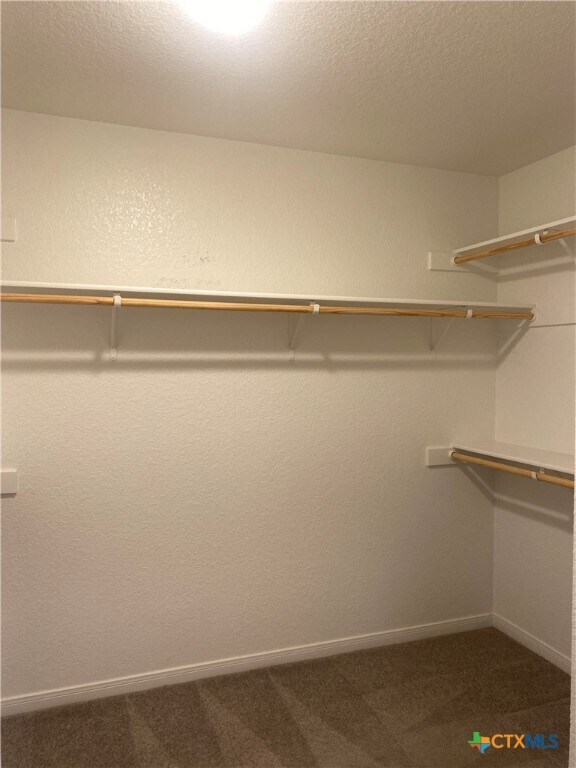 Building Photo - 2037 Bella Vita Dr