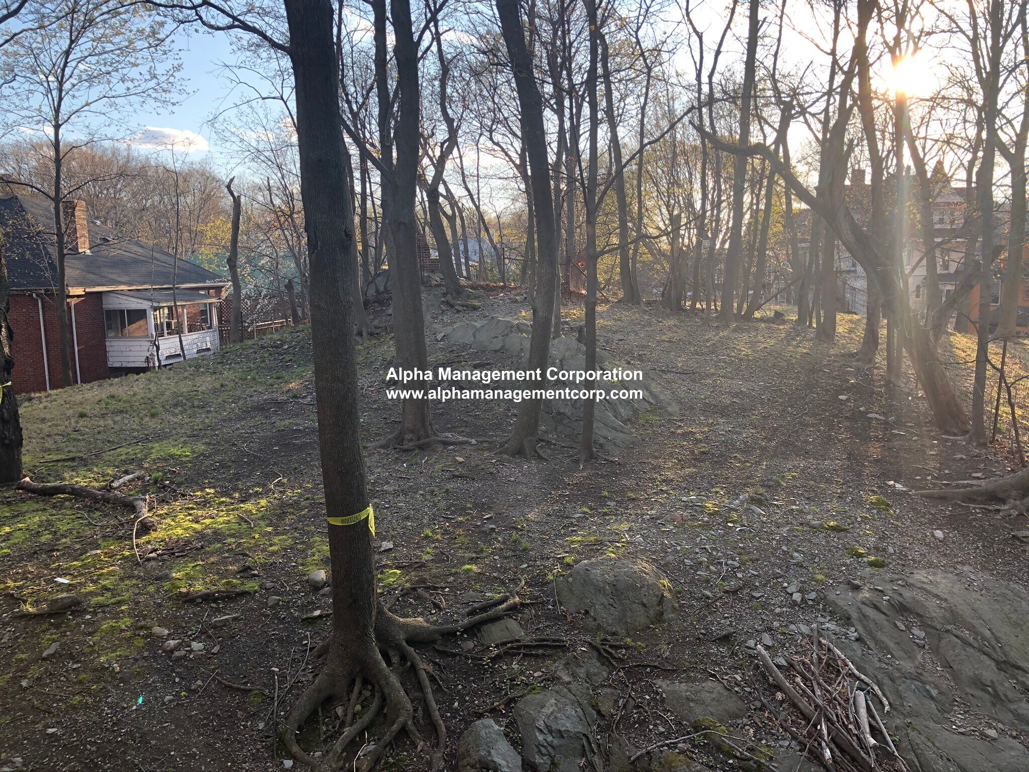 Building Photo - 45 Gordon St