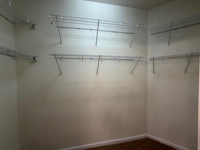 Building Photo - 11251 Campfield Dr