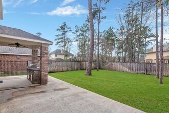 Building Photo - 10 W Lasting Spring Cir