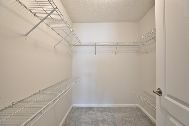 Building Photo - 763 Hidden Springs Dr