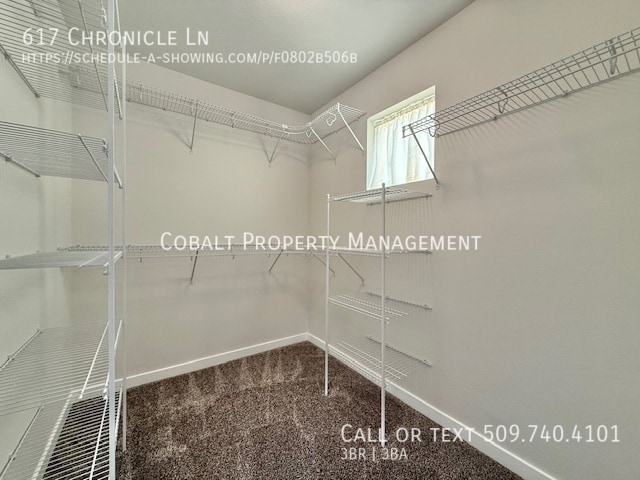 Building Photo - 617 Chronicle Ln