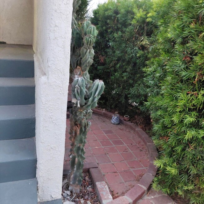 Semi-private Patio near your front steps - 1828 S Curson Ave