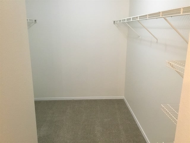 Building Photo - 6619 S Covewood Way