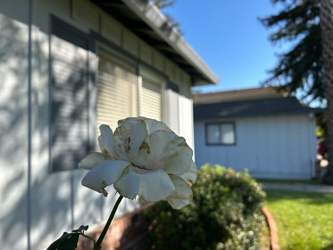 Building Photo - Updated 4-Bedroom Single-Story Home in Con...