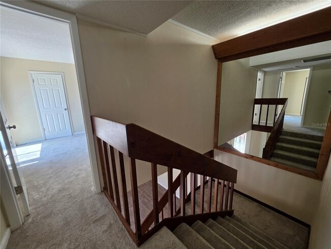 Building Photo - 3824 Saxon Dr