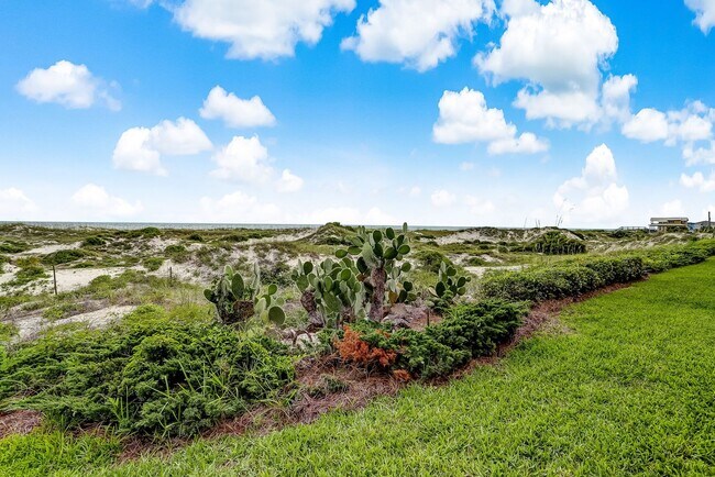 Building Photo - Amelia Island Ocean Front Condo