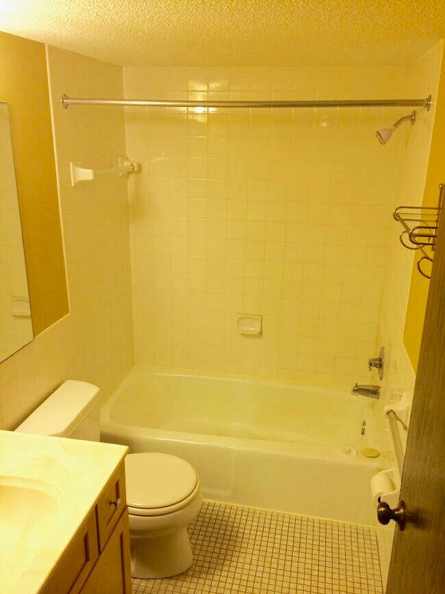 bathroom - 938 Westbrooke Way