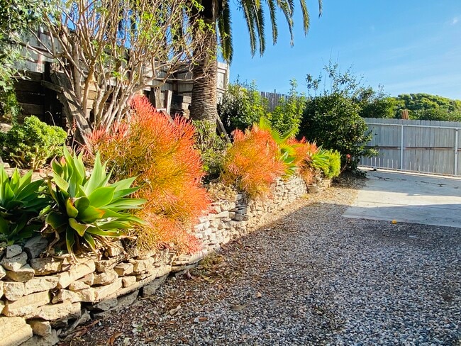 Building Photo - 25019 Pacific Coast Hwy