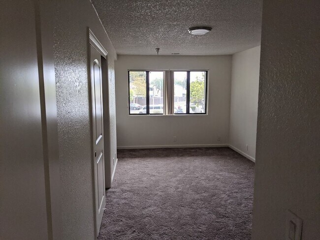 Building Photo - 55 Stenner St