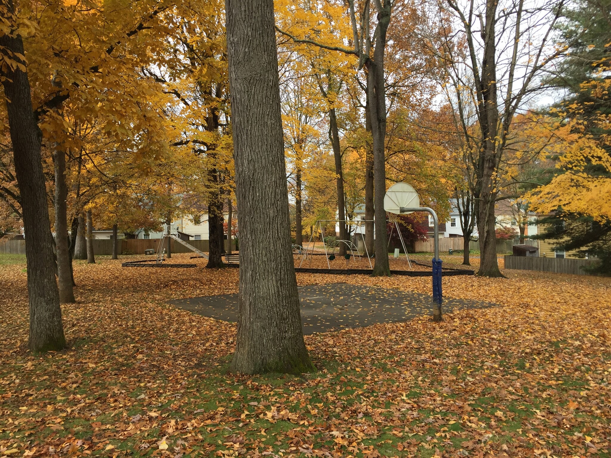 Recreation - 2805 Wellesley Ct