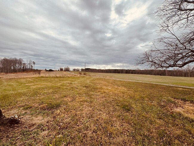 Building Photo - Adorable Home/Country setting