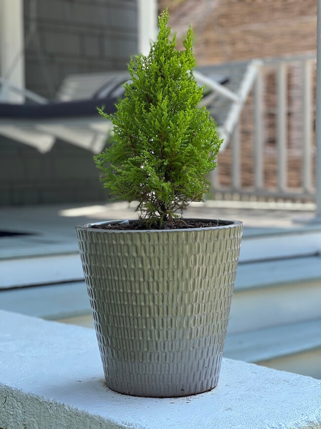 Building Photo - 408 W Park Ave