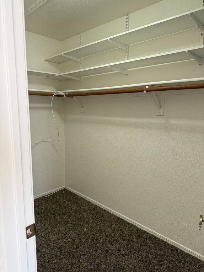 Building Photo - 3 Bed 2 Bath home in the highly desirable Northwest Tucson area. New paint, Carpet an Appliances!