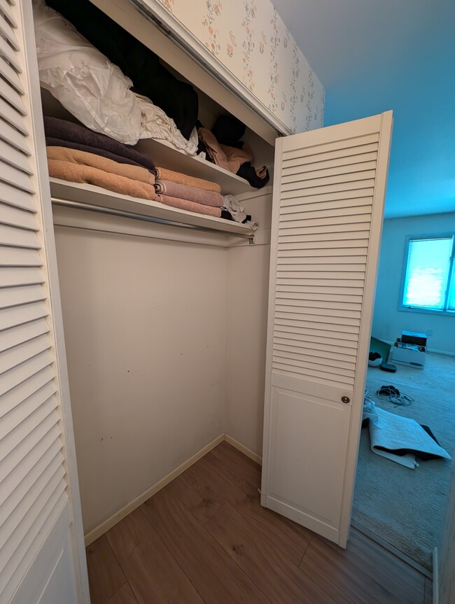 Large closet in primary bedroom - 1808 Indian Meadows Ln