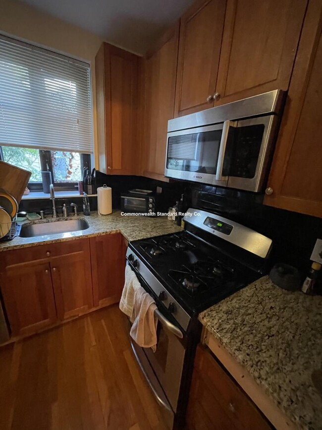 Building Photo - 1 bedroom in Brighton MA 02135