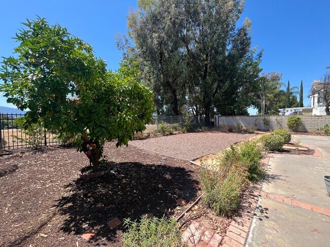 Building Photo - 31433 Corte Madera