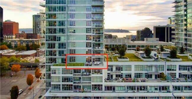 Building Photo - Insignia Condominiums ~ Belltown